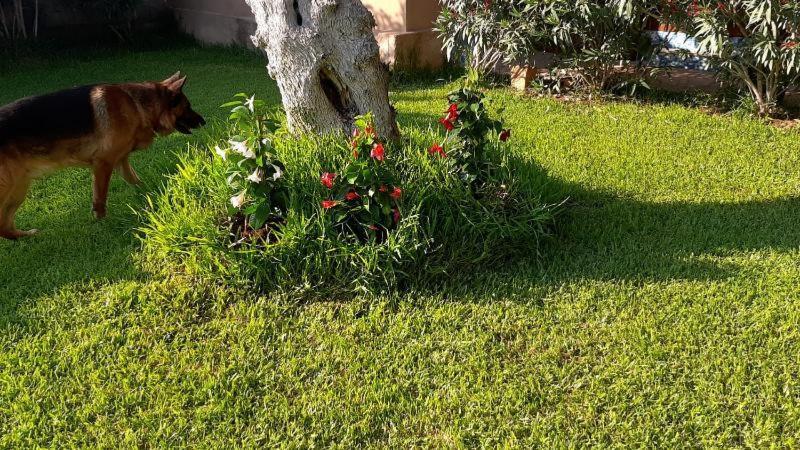 Villa Girasole Monteroni di Lecce Bagian luar foto